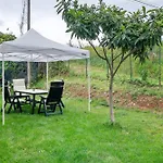 Villa Il Frutteto 50 *