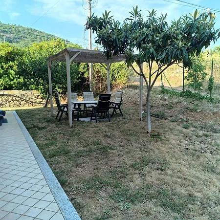 Il Frutteto 50 *